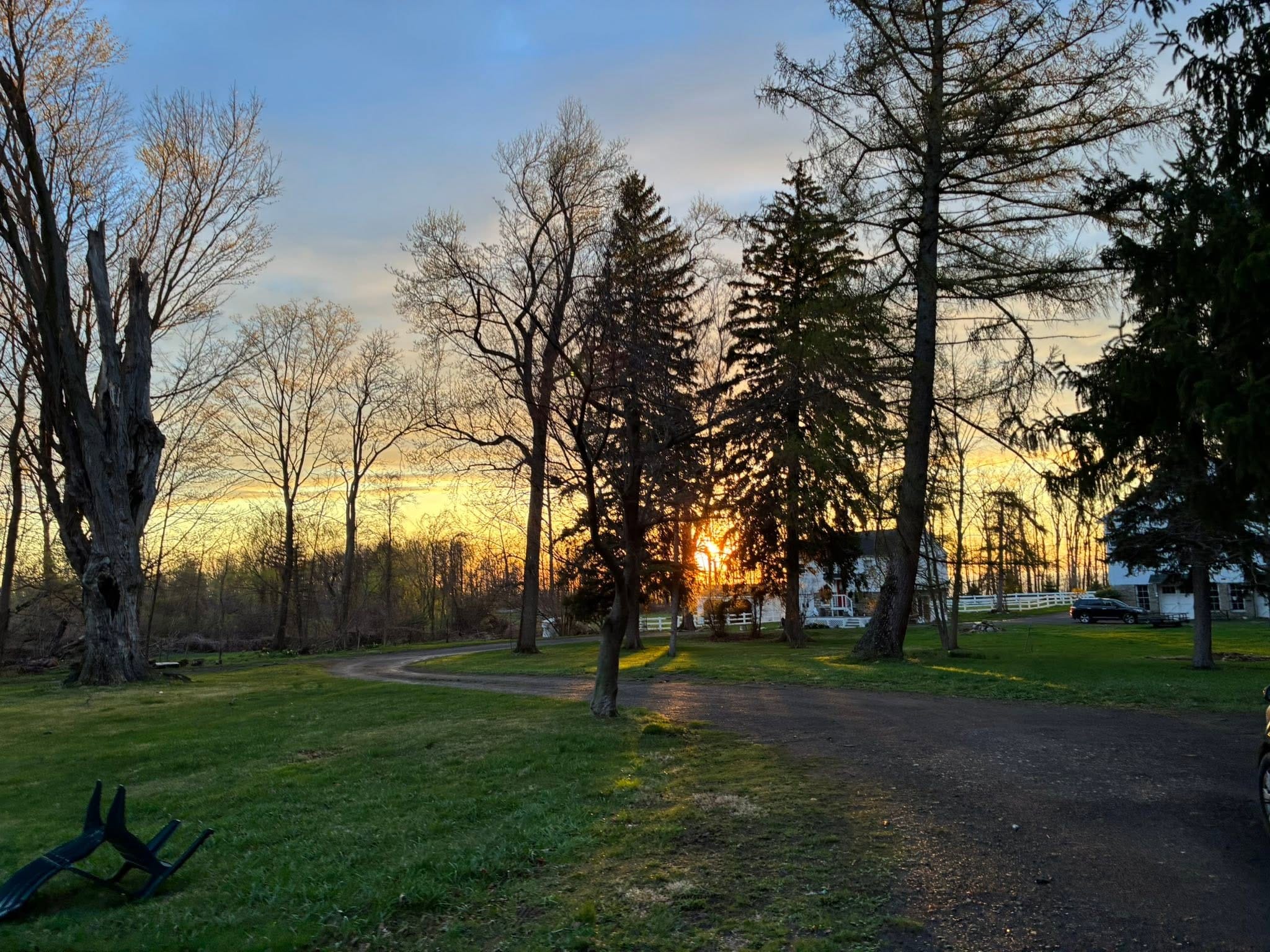 Golden sunset through the trees over the estate grounds