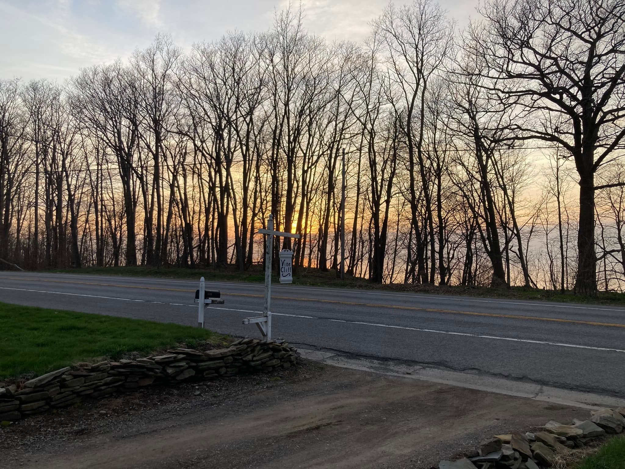 The Vine Cliff sign at the roadside at sunset